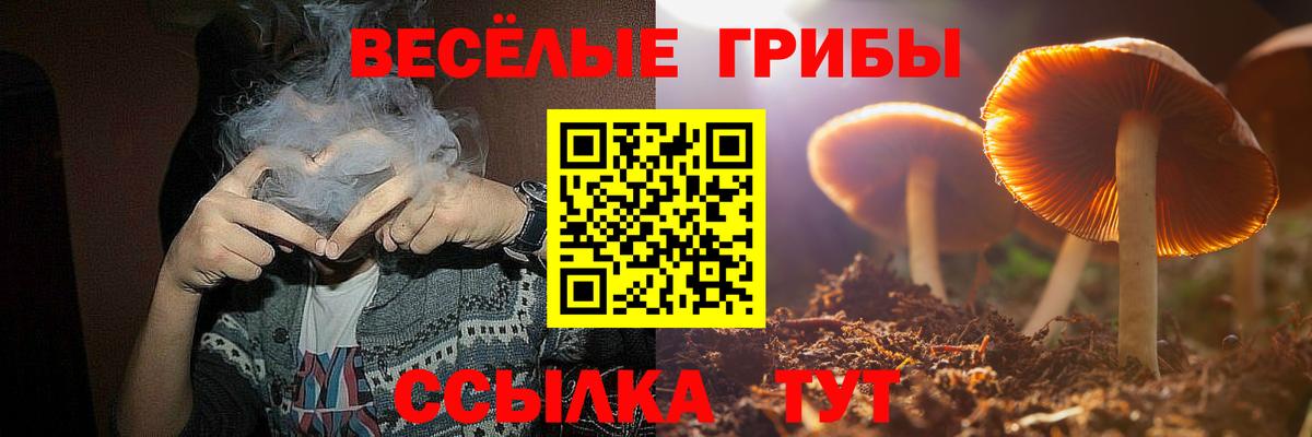 Галлюциногенные грибы Psilocybine cubensis  Вход с VPN  Орехово-Зуево 